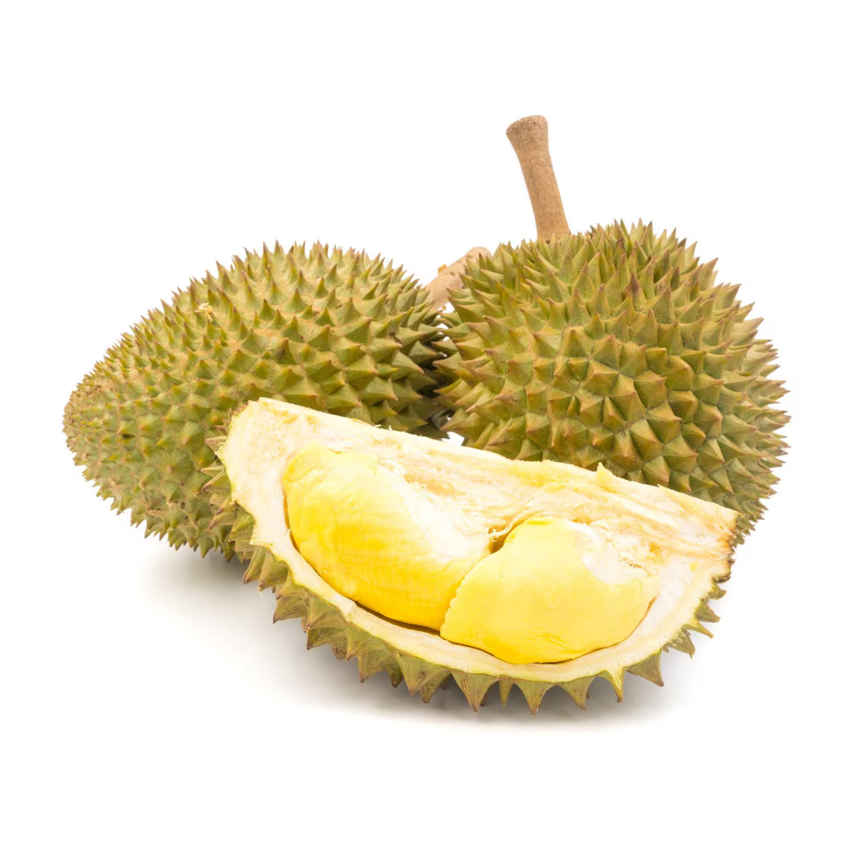 圖片替代文字