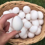 Special offer - Black chicken eggs (first-laid eggs), 180 eggs per box. Pick-up only.