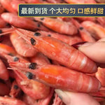 北极甜虾🦐 深海冰鲜 最大size（60/80）