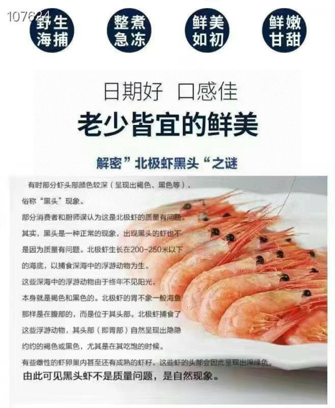 北极甜虾🦐 深海冰鲜 最大size（60/80）