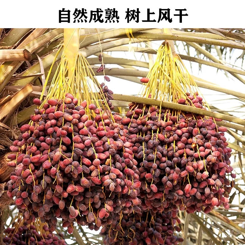 Extra Large Medjool Dates 1 lb
