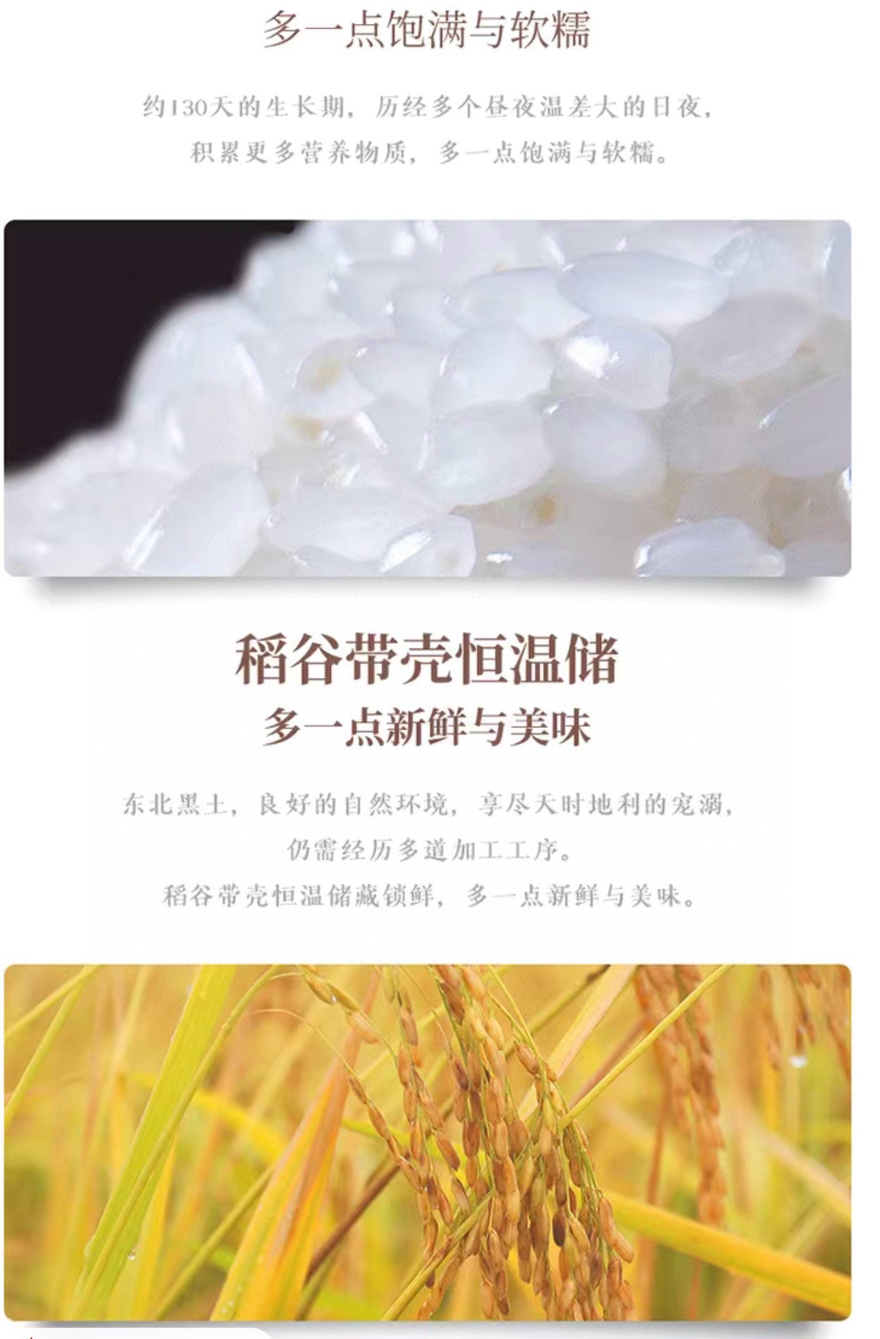 October Rice Liaoning River Long Grain Northeast Rice 5kg