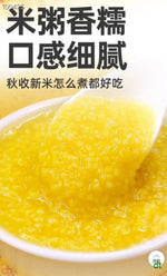 有机黄小米 2lb | 补血益智 养胃必备