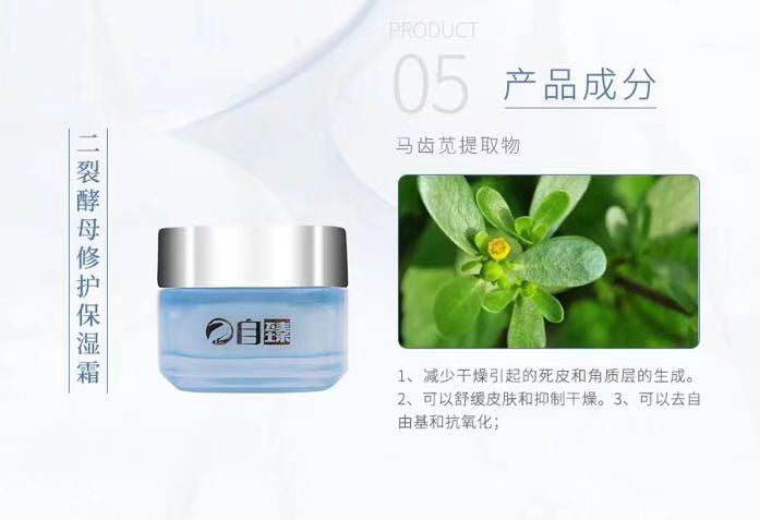 ZI ZHEN Bifida Ferment Lysate Nourishing and Repairing Set