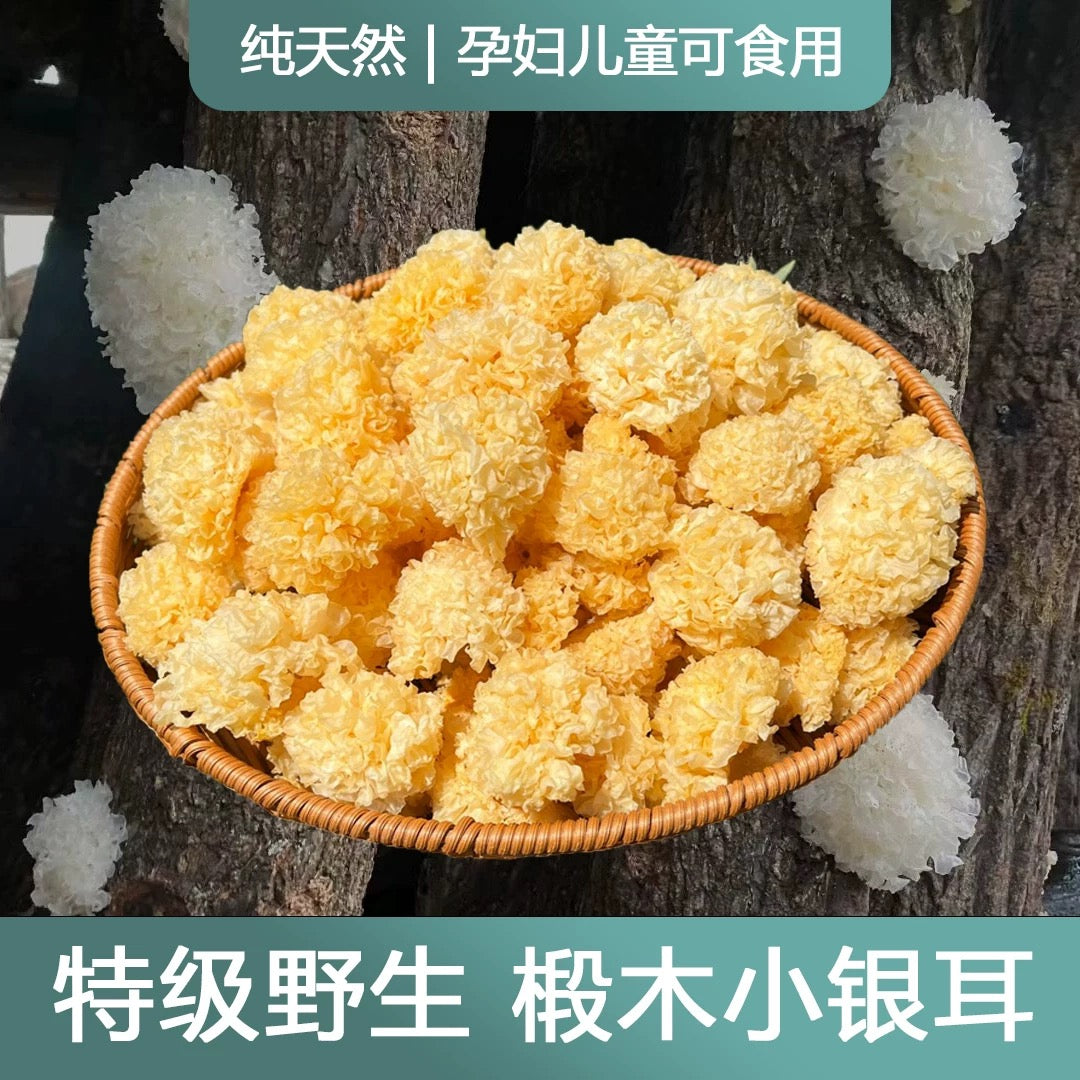 First-flush linden wood log-grown golden and silver tremella*1lb