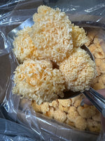 First-flush linden wood log-grown golden and silver tremella*1lb