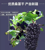 无硫天然桑葚干 2lb | 补血抗氧化 养生果干