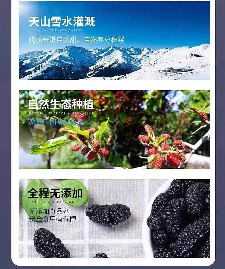 无硫天然桑葚干 2lb | 补血抗氧化 养生果干
