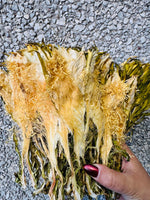无硫原色霸王花 0.5lb | 粤式老火靳汤经典食材