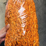 Sulfur-free cordyceps flowers have spore heads