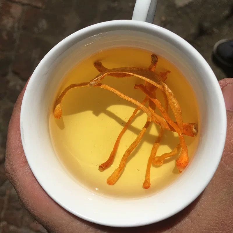 Sulfur-free cordyceps flowers have spore heads