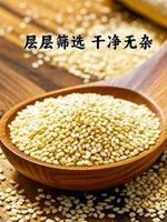 月月红炒香白芗麻 160g｜香气浓郁 撤面凉拌必备