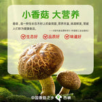 仲景香菇酱 · 原味