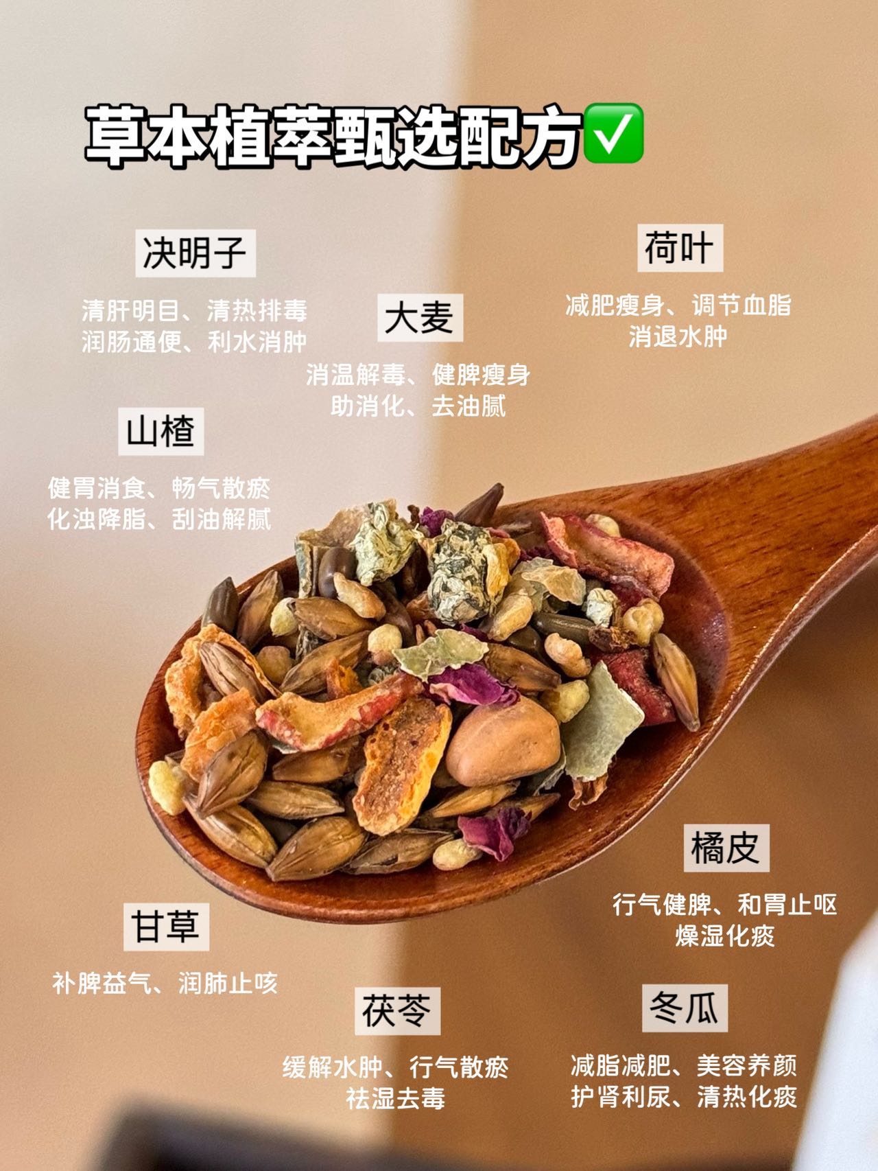 仁医馆·油切大肚茶 5g*12小包/盒
