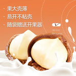 原味夏威夷果 500g｜果大壳薄 0添加内赠开口器