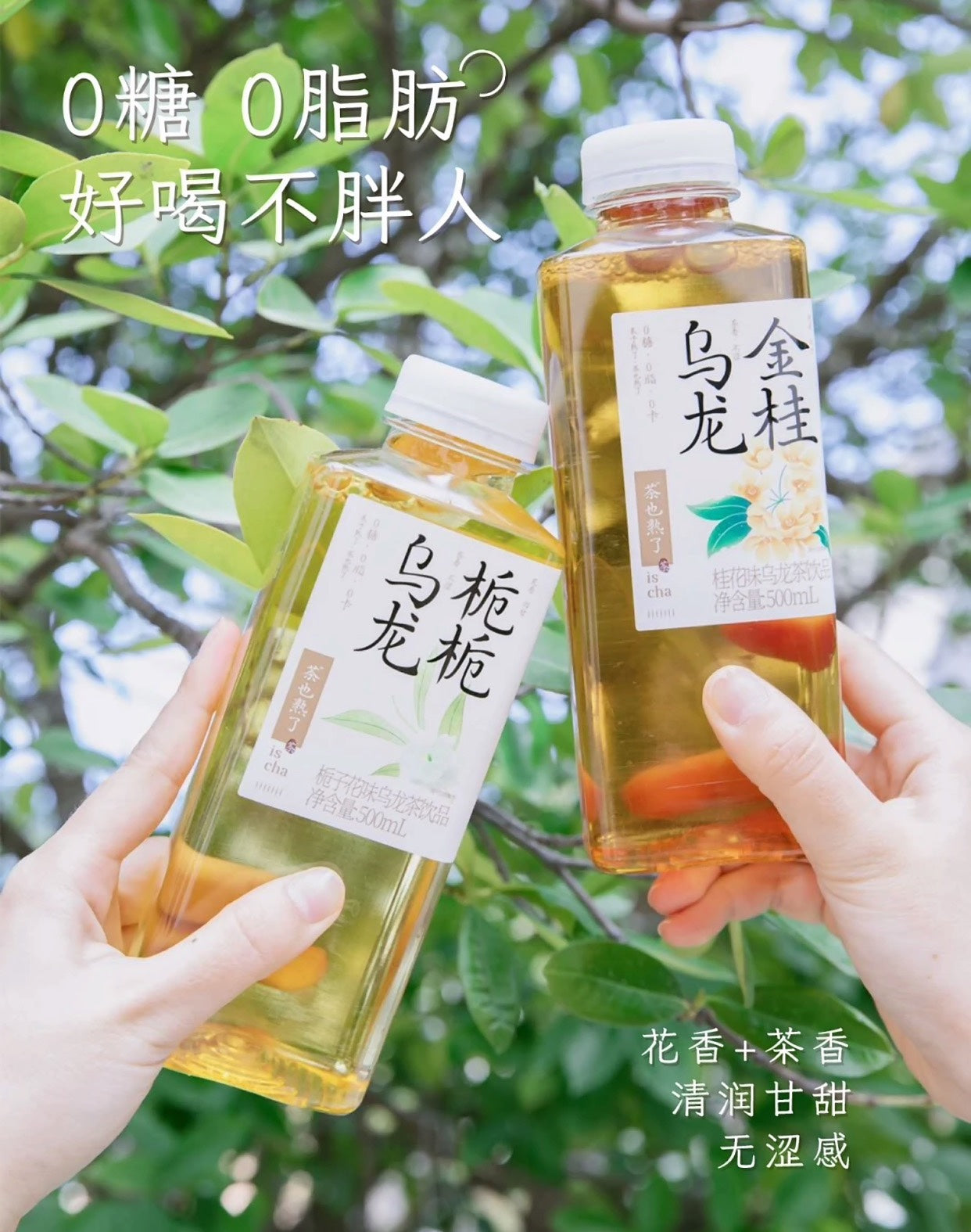 圖片替代文字