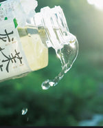 果子熟了茶也熟了系列（无糖）500mlx15瓶（仅限上门自取）