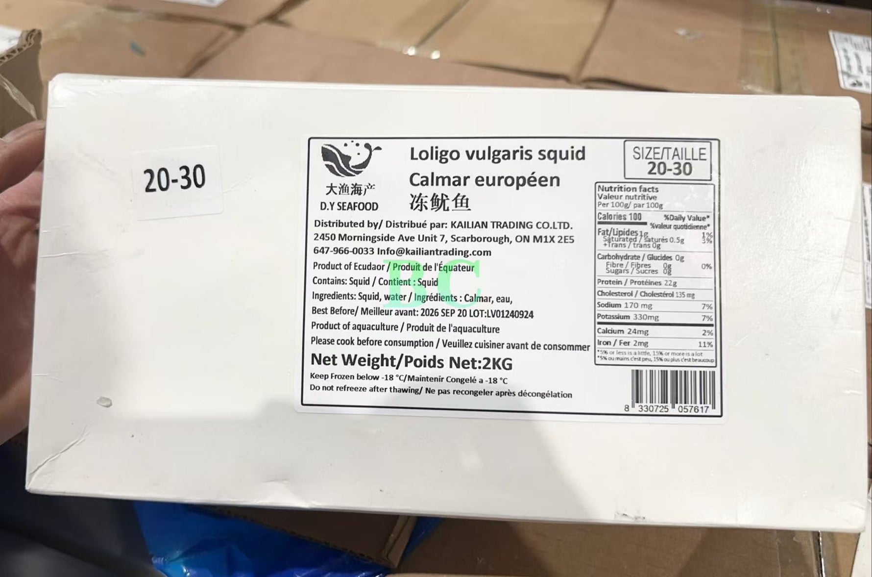 灯管小鱿鱼 2kg｜爽脆弹牙火锅海鲜首选