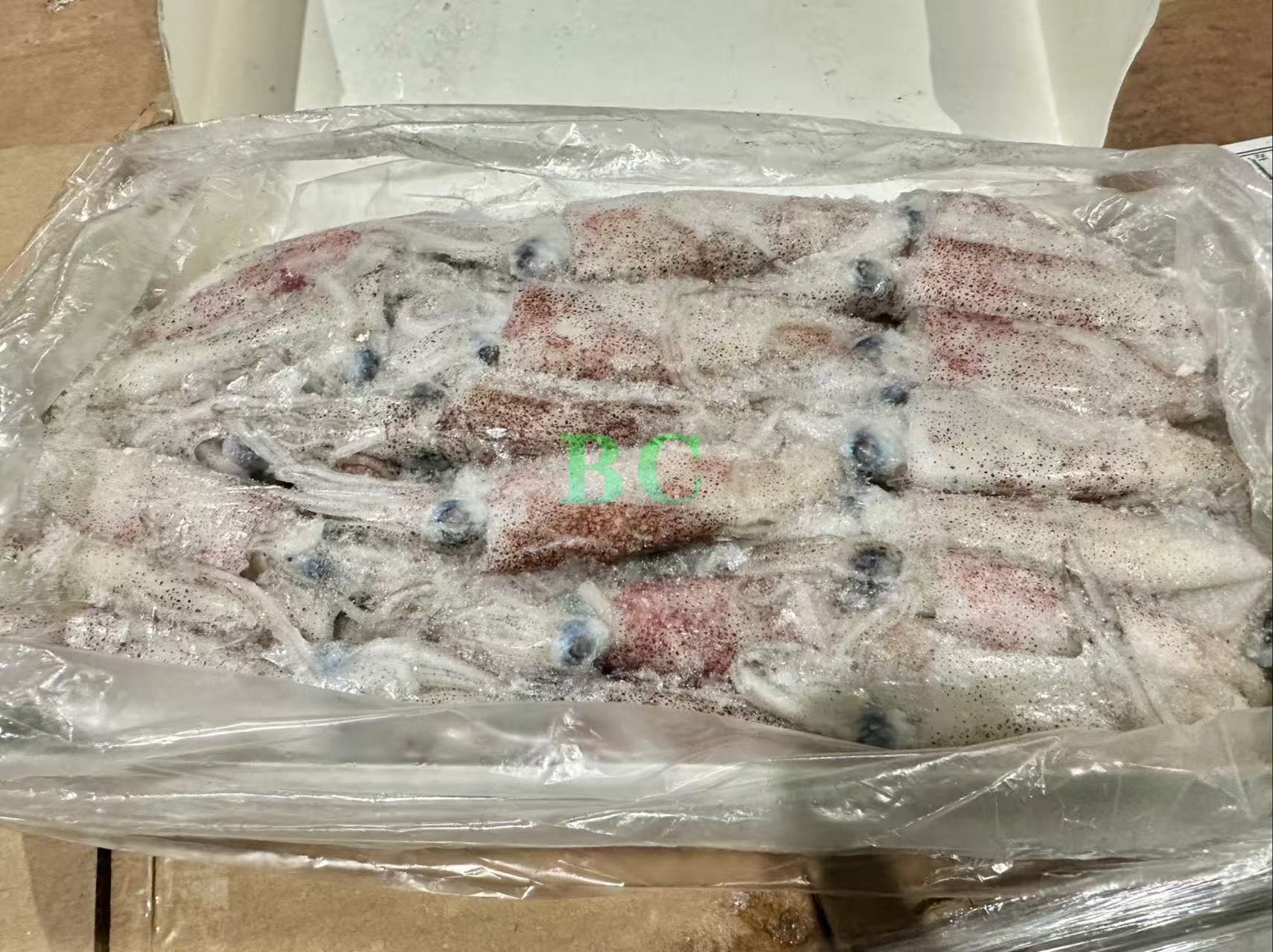 灯管小鱿鱼 2kg｜爽脆弹牙火锅海鲜首选