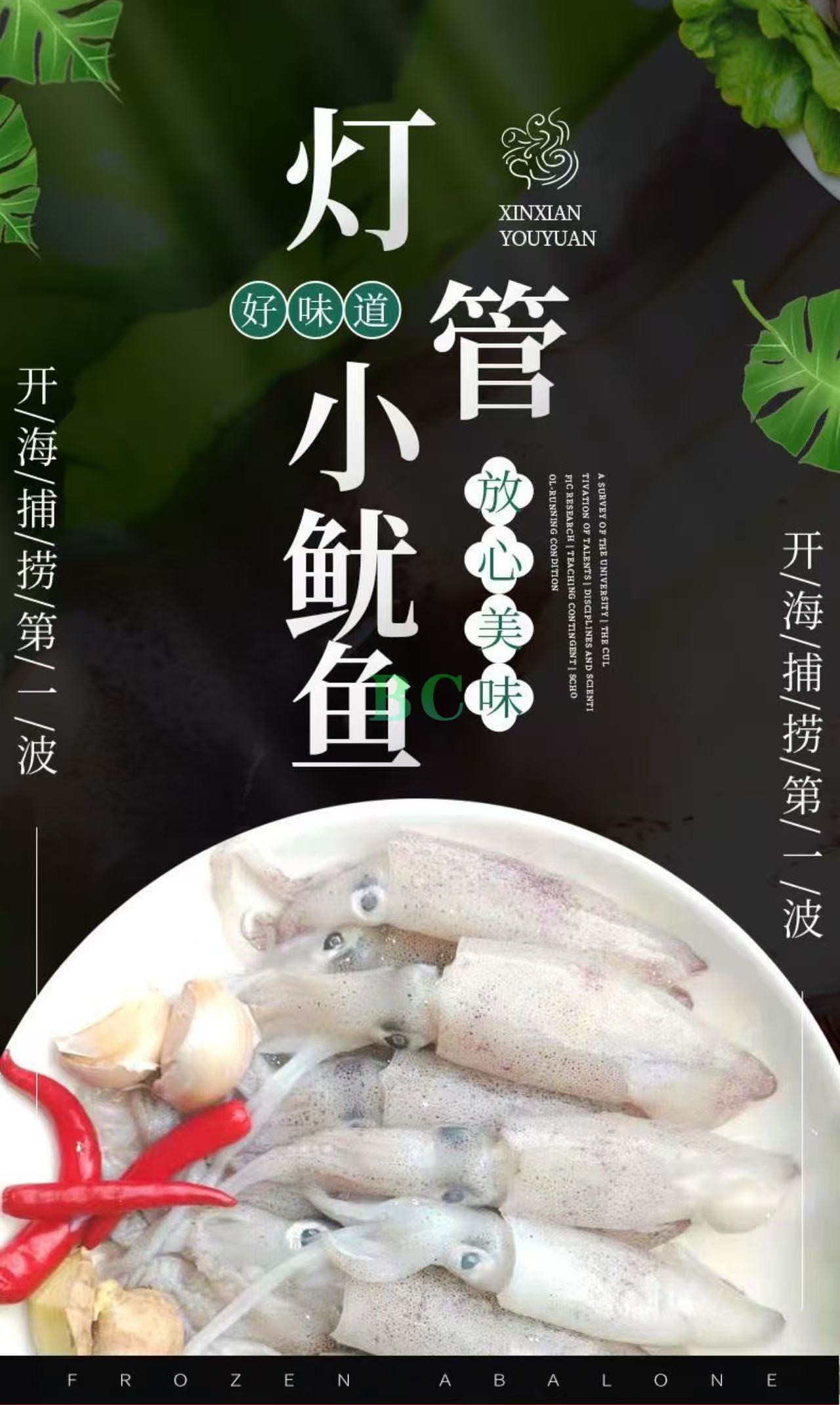 灯管小鱿鱼 2kg｜爽脆弹牙火锅海鲜首选