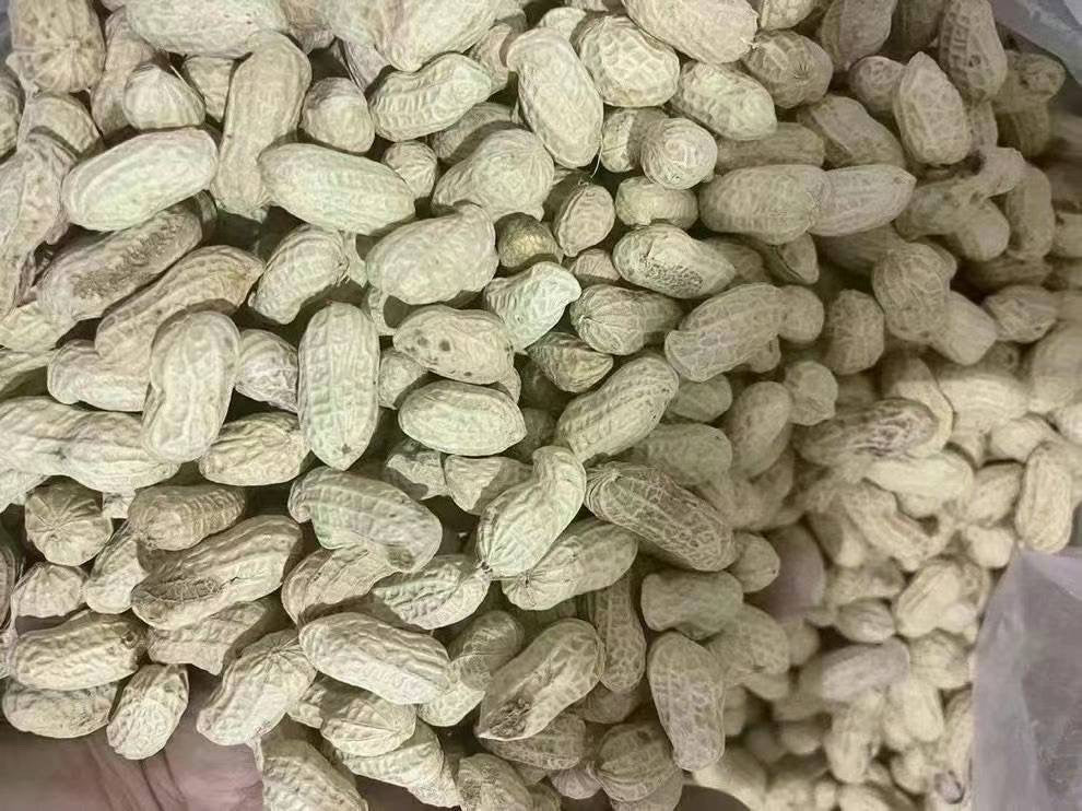 Bailian Dried Peanuts 1.5KG