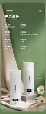 US standard 110V travel electric kettle 500ml