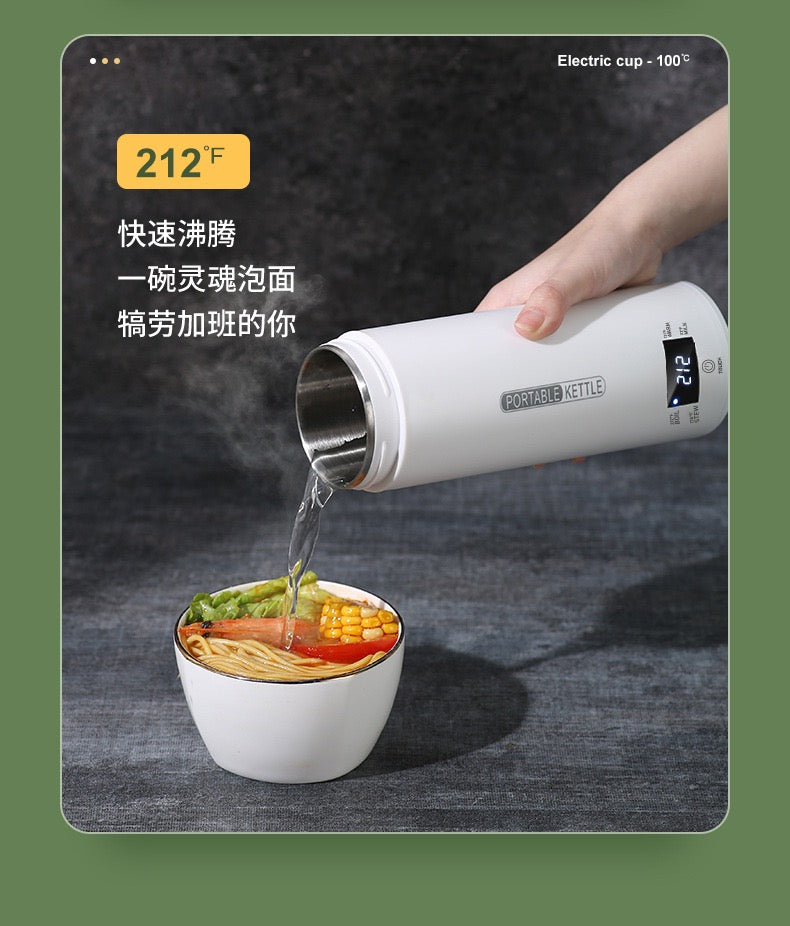 US standard 110V travel electric kettle 500ml