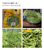 1 lb All-Natural, Healthy Dehydrated Gongcai