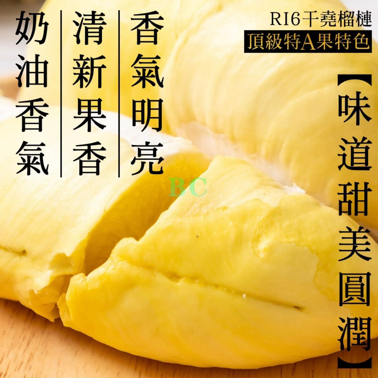 圖片替代文字