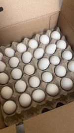 Special offer - Black chicken eggs (first-laid eggs), 180 eggs per box. Pick-up only.
