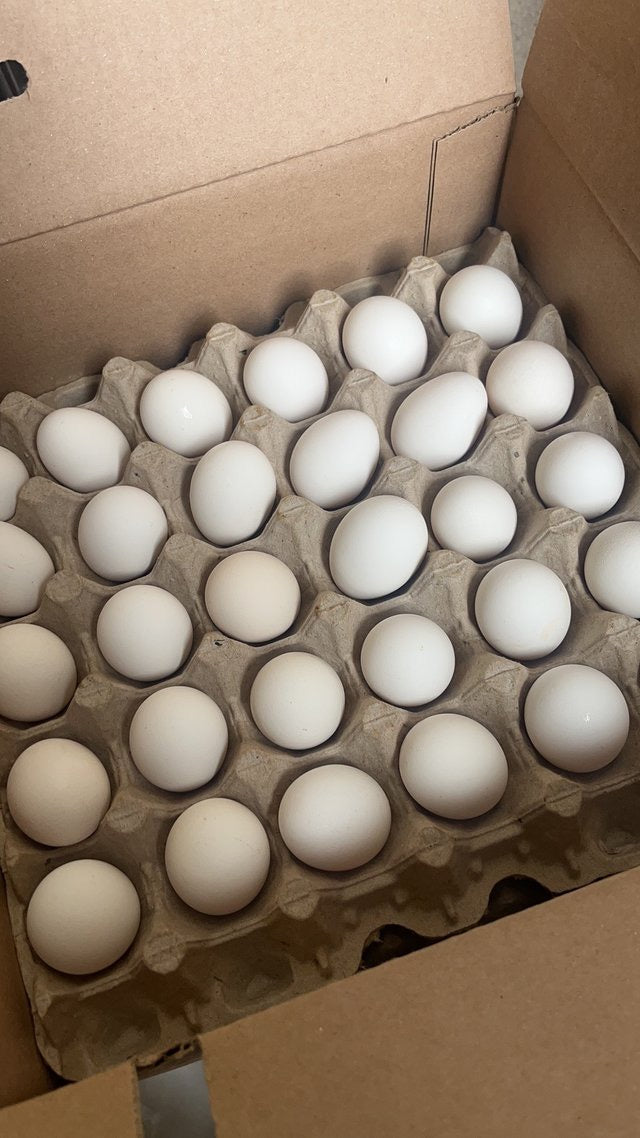 Special offer - Black chicken eggs (first-laid eggs), 180 eggs per box. Pick-up only.