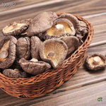 Selected dried shiitake mushrooms 200g