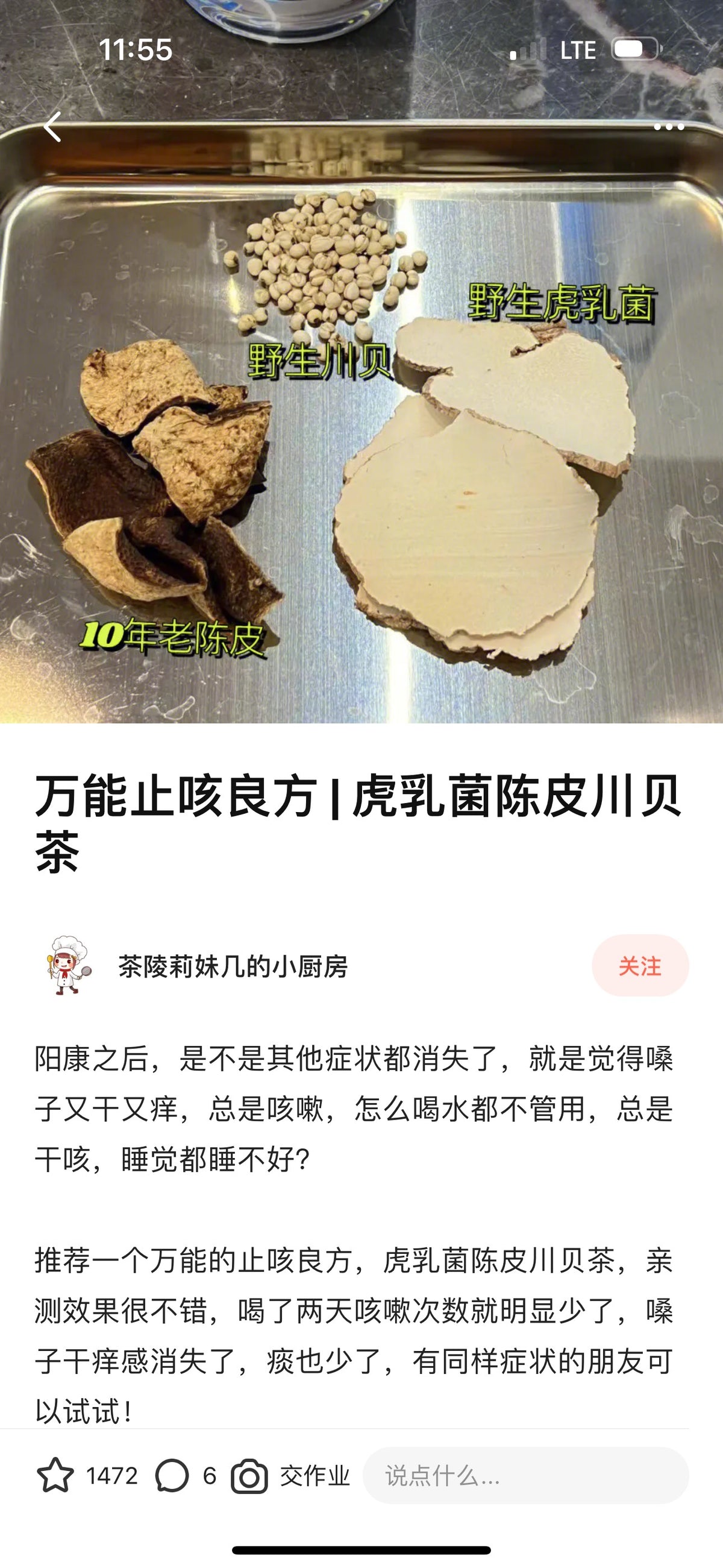 野生贝母 150g | 无硫无漂白 润肺止咎清热化痰