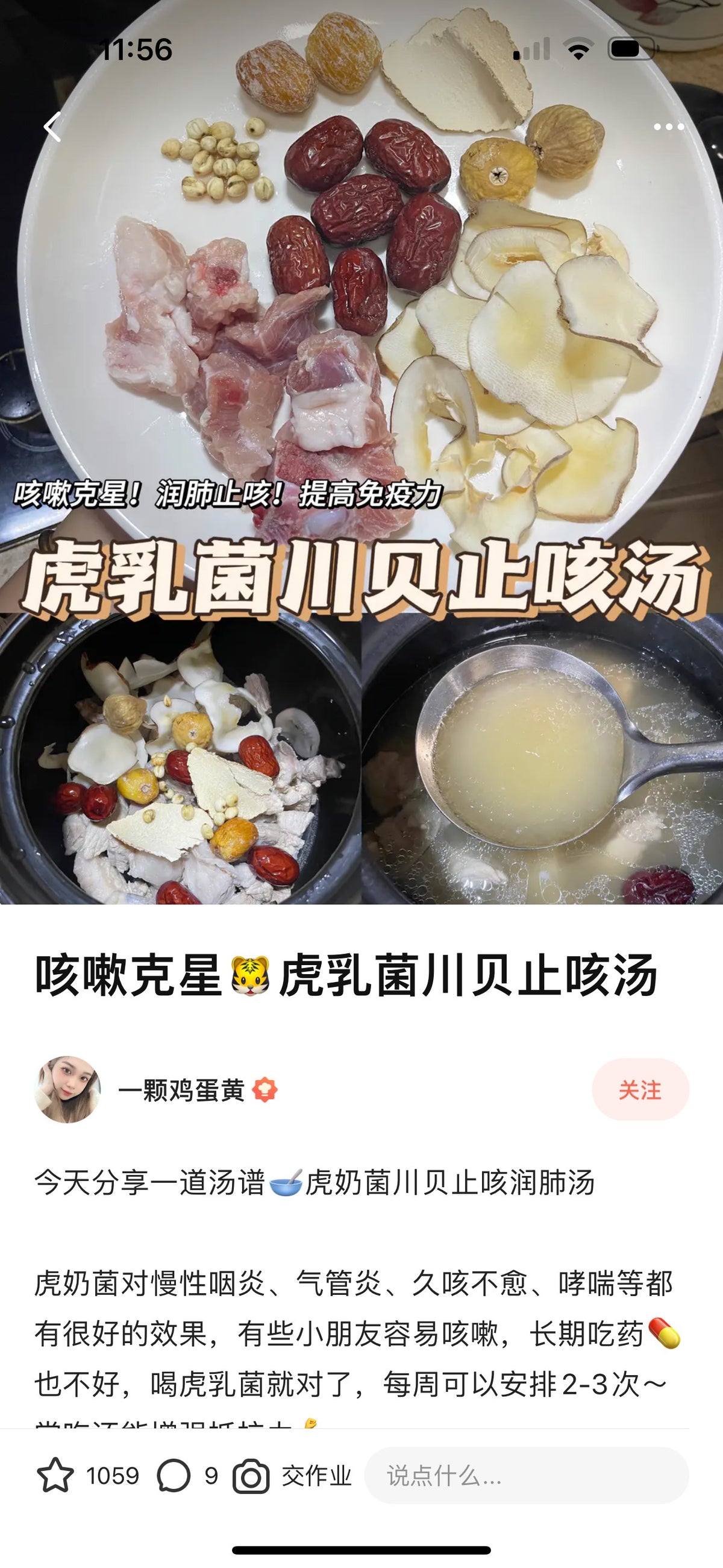 野生贝母 150g | 无硫无漂白 润肺止咎清热化痰