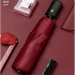 Extra-large 12-rib fully automatic umbrella