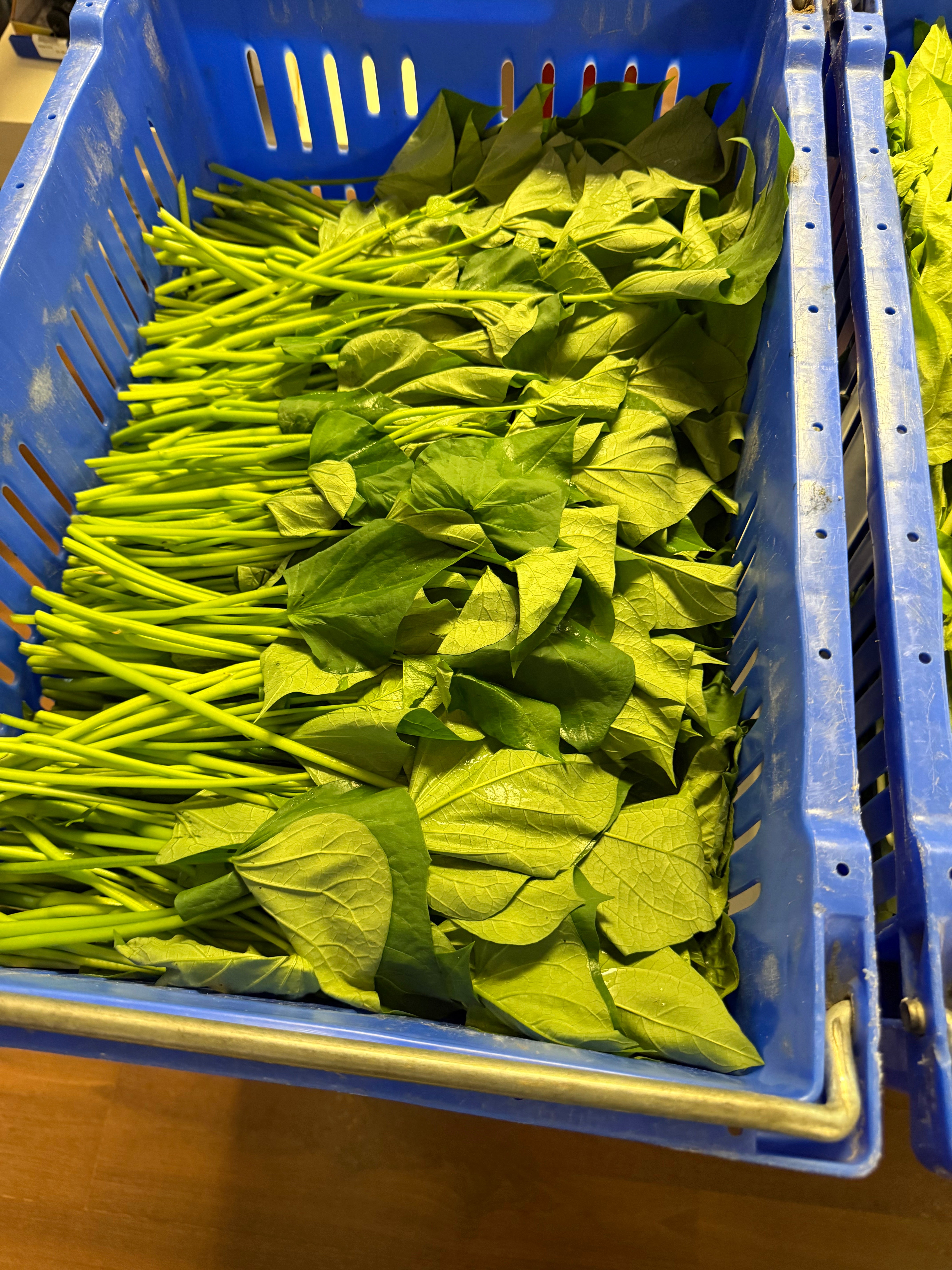 新鲜番薇叶 1磅 嫩滑清甜 健康家常蔬菜