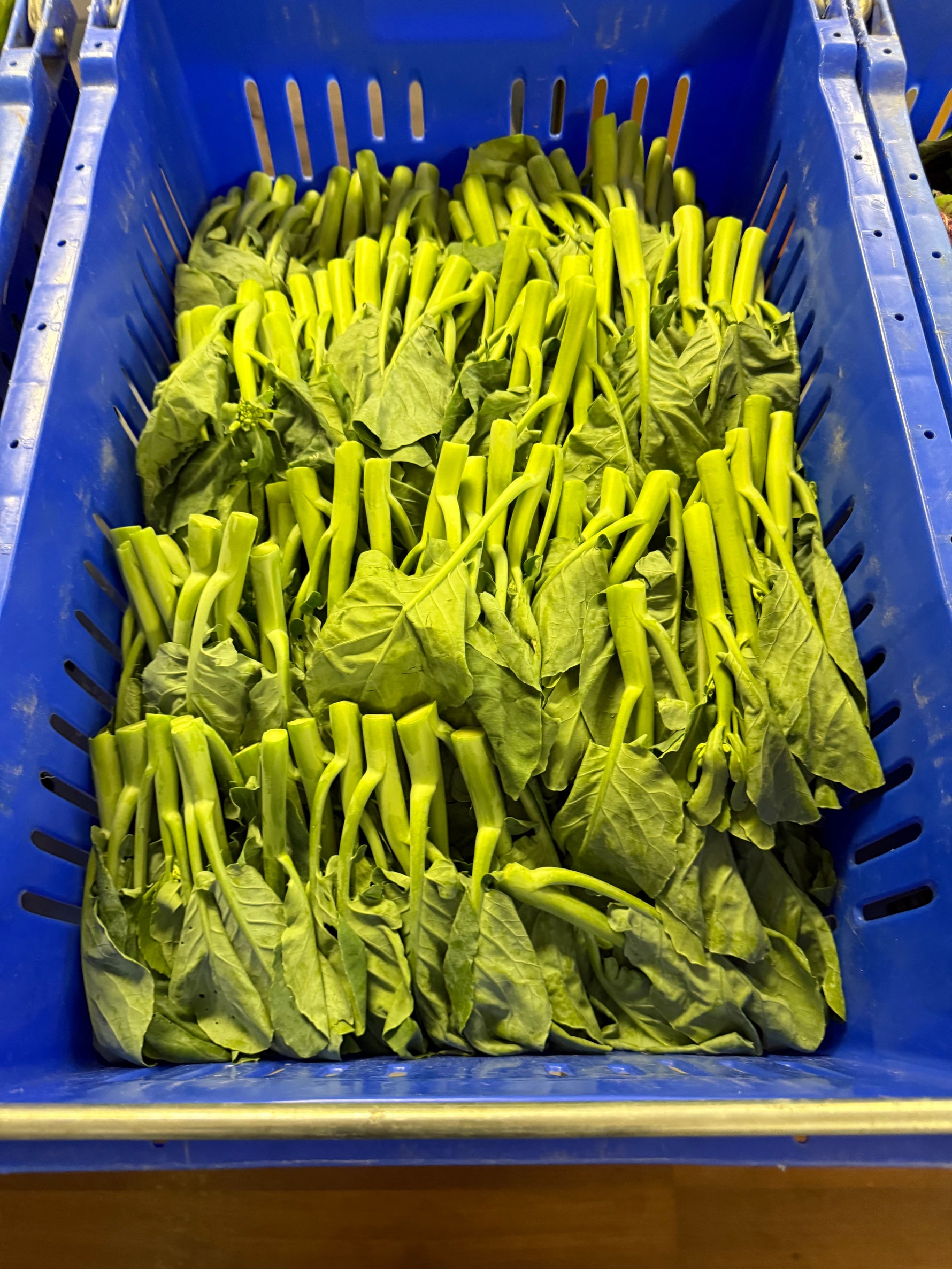 新鲜芥兰苗1磅 嫩脆清香 广式家常蔬菜