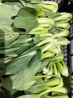 新款蔬菜来货🥬鸡毛菜🥬2磅
