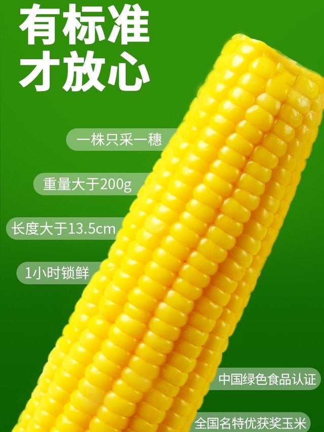 Shaxiaopang Sweet Corn 10 ears/box