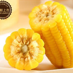Shaxiaopang Sweet Corn 10 ears/box