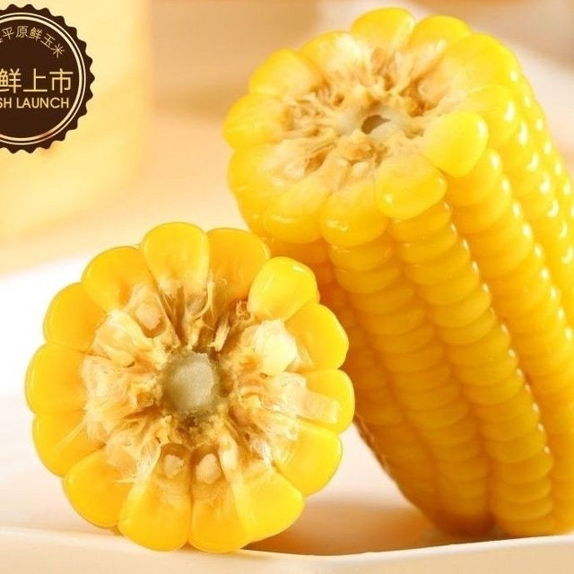 Shaxiaopang Sweet Corn 10 ears/box