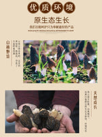 Wild morel mushrooms, half a pound per bag