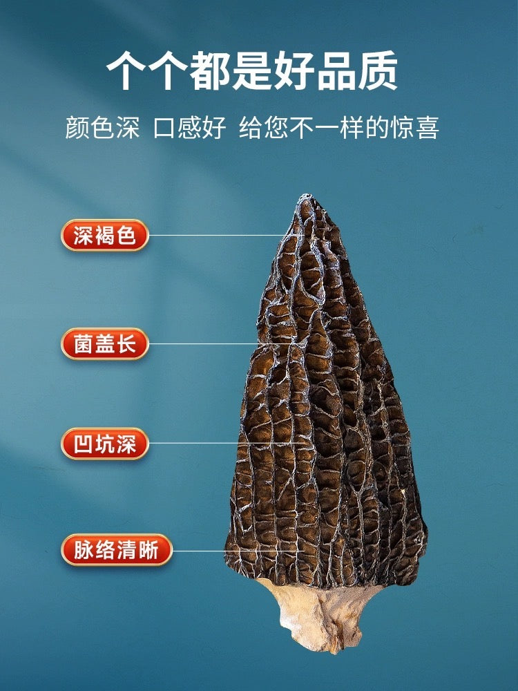 Wild morel mushrooms, half a pound per bag