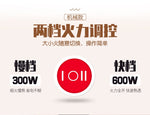 110V美规家庭必备的多功能小锅1.8L带蒸笼