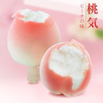 Peach Ice Cream Lemonade / Summer Ice Cream - Any 2 Boxes
