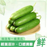 盒装水果小黄瓜｜爽脆凉拌