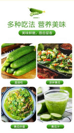 盒装水果小黄瓜｜爽脆凉拌