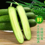盒装水果小黄瓜｜爽脆凉拌