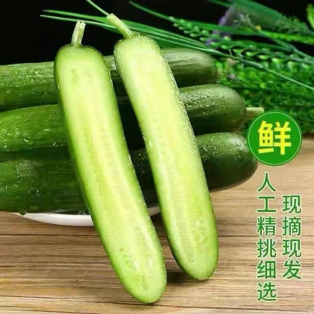 盒装水果小黄瓜｜爽脆凉拌