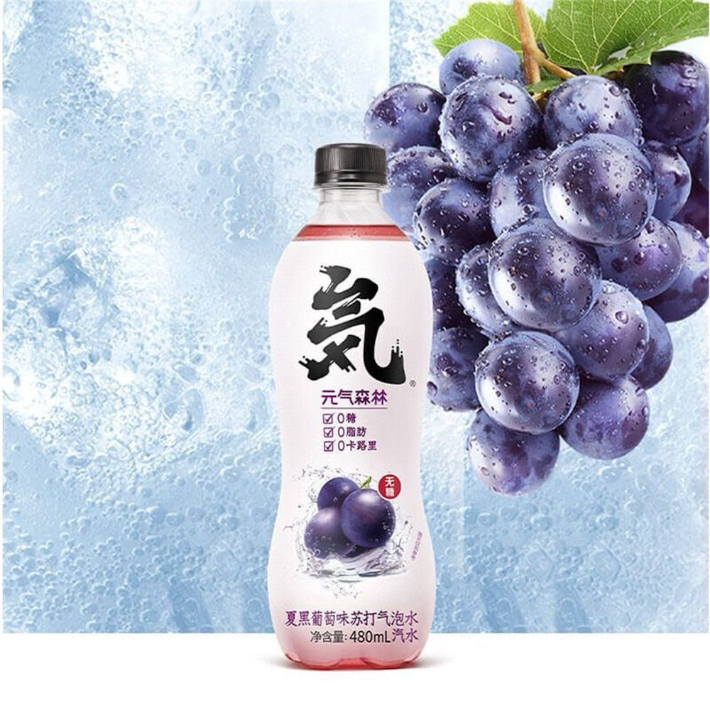 Genki Forest Soda Sparkling Water 15*480ml (In-store pickup only)